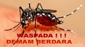 7 Gejala Demam Berdarah dan 4 Minuman yang Dapat Meredakan Demam Berdarah