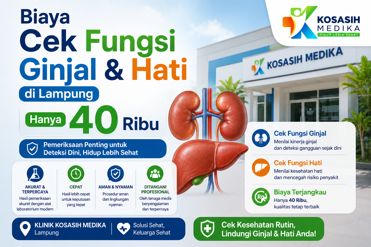 Biaya Cek Fungsi Ginjal & Hati di Lampung: Hanya 40 Ribu di Klinik Kosasih Medika