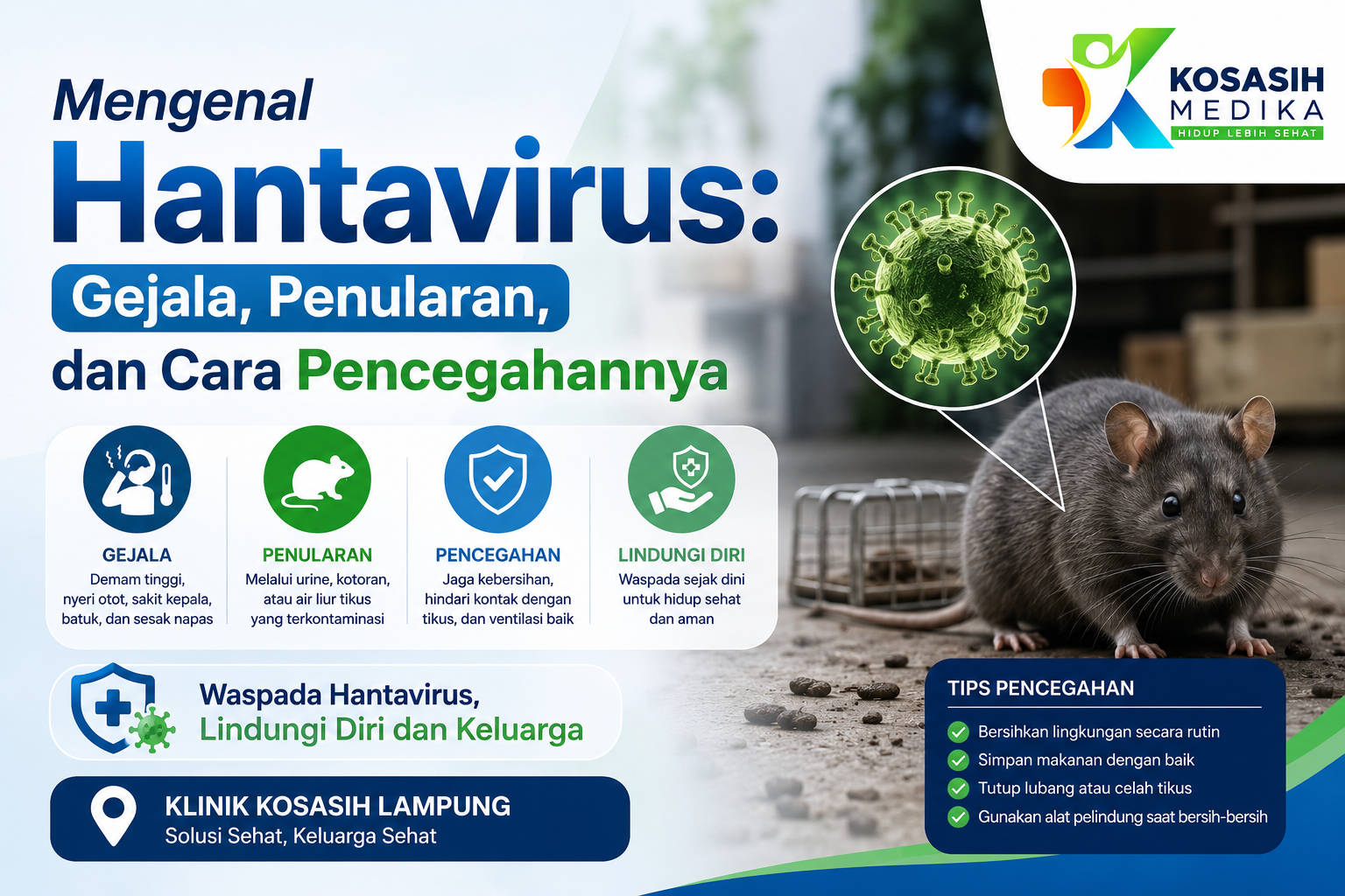 Mengenal Hantavirus: Gejala, Penularan, dan Cara Pencegahannya – Klinik Kosasih Lampung